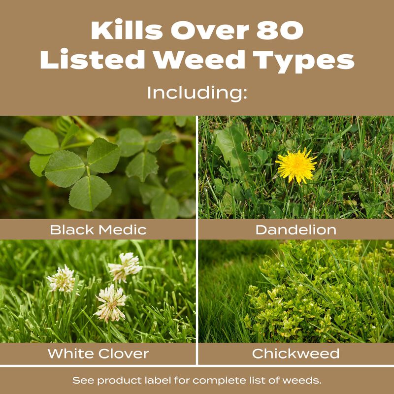 Scotts&reg; Turf Builder&reg; Weed & Feed for Texas Lawns image number null