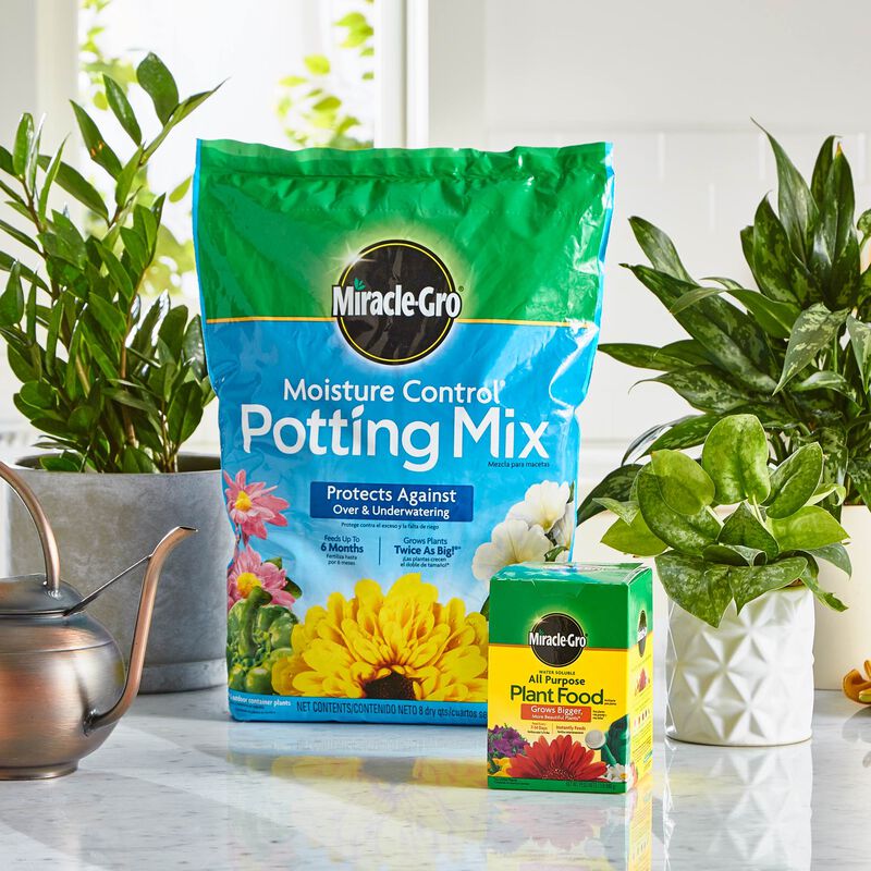 Miracle-Gro&reg; Moisture Control Potting Mix and Miracle-Gro&reg; Water Soluble All Purpose Plant Food image number null
