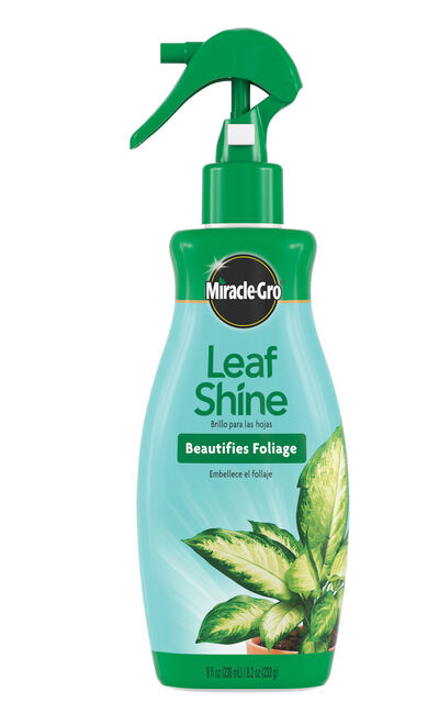 Miracle-Gro&reg; Leaf Shine