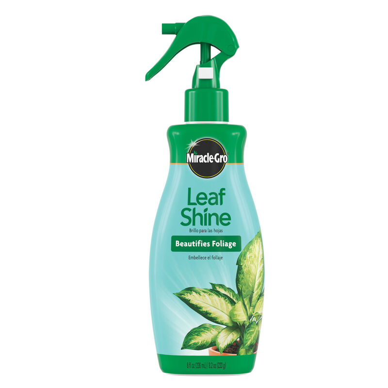 Miracle-Gro&reg; Leaf Shine image number null