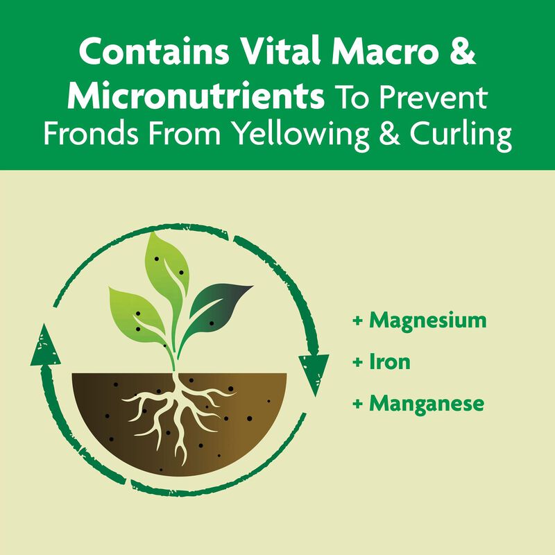 Miracle-Gro&reg; Shake 'N Feed Palm Plant Food image number null