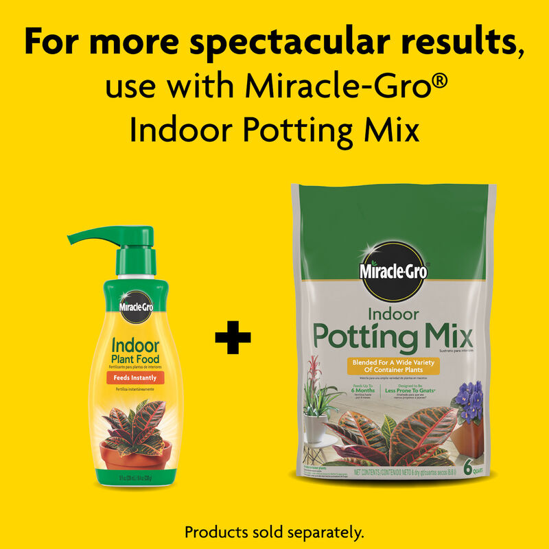 Miracle-Gro&reg; Indoor Plant Food image number null
