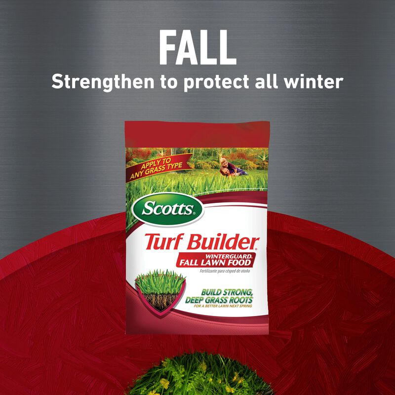 Scotts&reg; Turf Builder&reg; Halts Crabgrass Preventer, Weed & Feed₅, SummerGuard and WinterGuard, 4 Bag Bundle, Large Lawns image number null