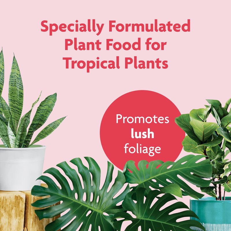 Miracle-Gro&reg; Tropical Houseplant Food image number null