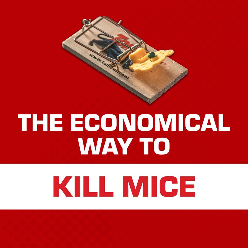 Tomcat&reg; Mouse Traps (Wooden) image number null