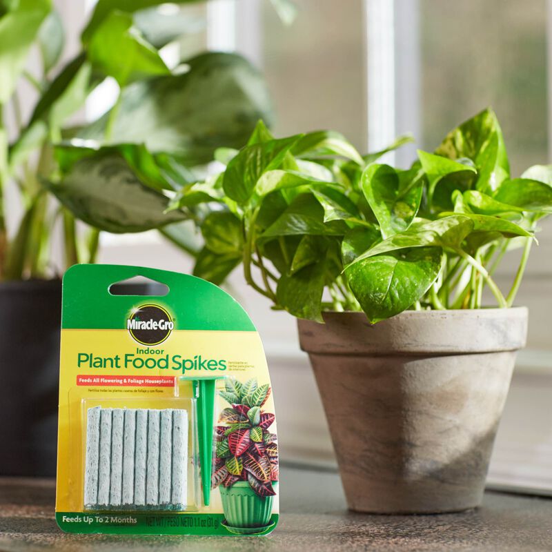 Miracle-Gro&reg; Indoor Plant Food Spikes image number null