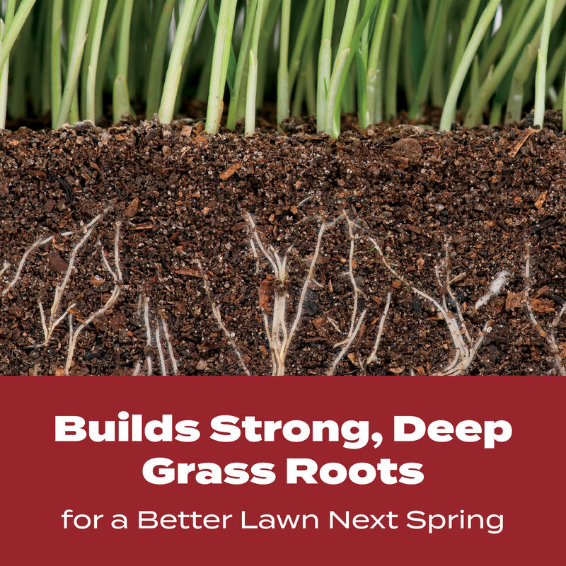 Scotts&reg; Turf Builder&reg; WinterGuard&reg; Fall Lawn Food image number null