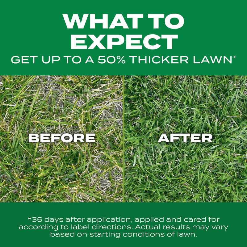 Scotts&reg; Turf Builder&reg; Thick'R Lawn&reg; Tall Fescue Mix image number null