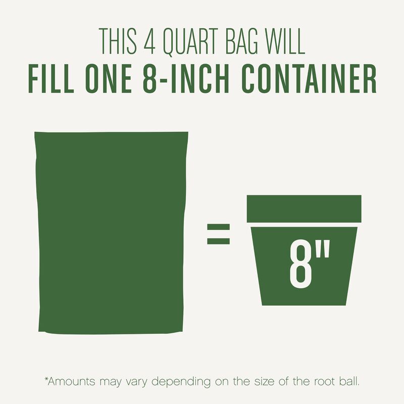 Miracle-Gro&reg; Succulent Potting Mix image number null