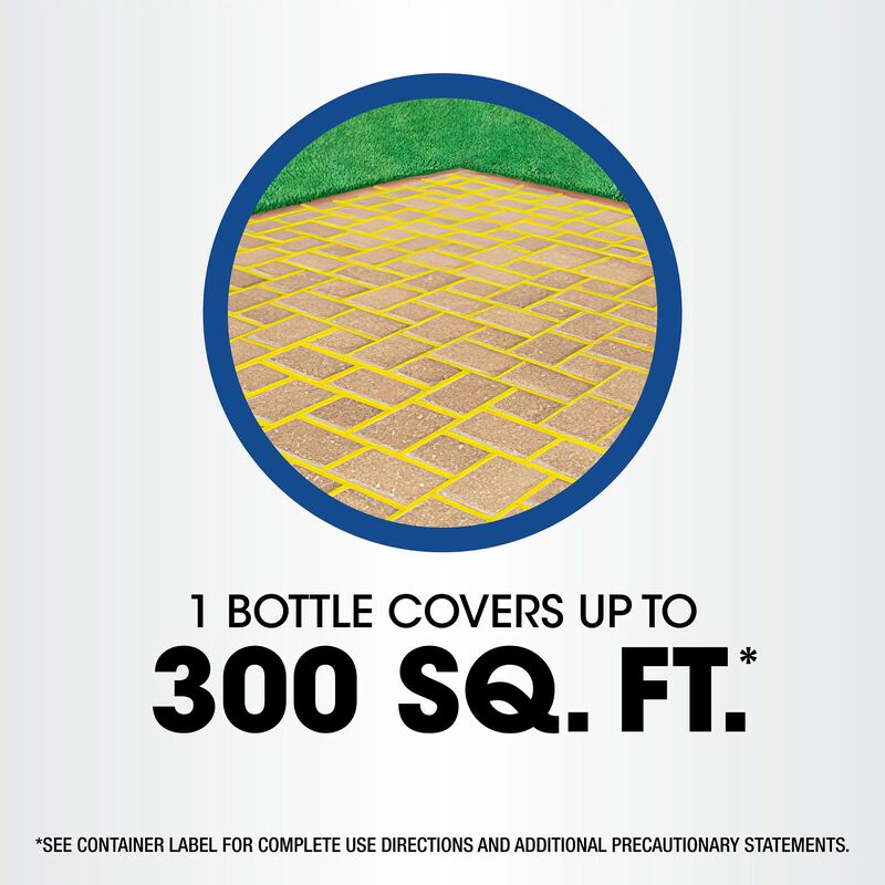 Roundup&reg; Weed & Grass Killer₄ with Sure Shot Wand&reg; image number null