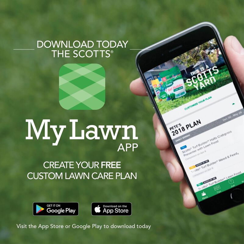 Scotts&reg; Turf Builder&reg; Thick'R Lawn&reg; 12lb. and EZ Seed&reg; Patch & Repair Sun and Shade 10lb. Bundle image number null