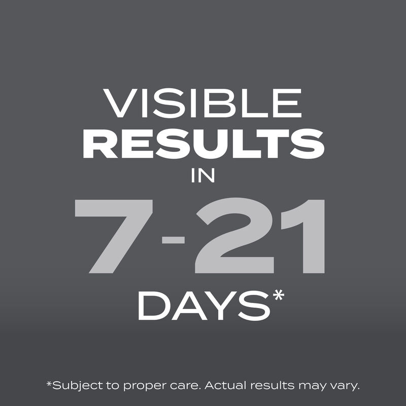 Scotts&reg; Turf Builder&reg; Grass Seed Northeast Mix image number null