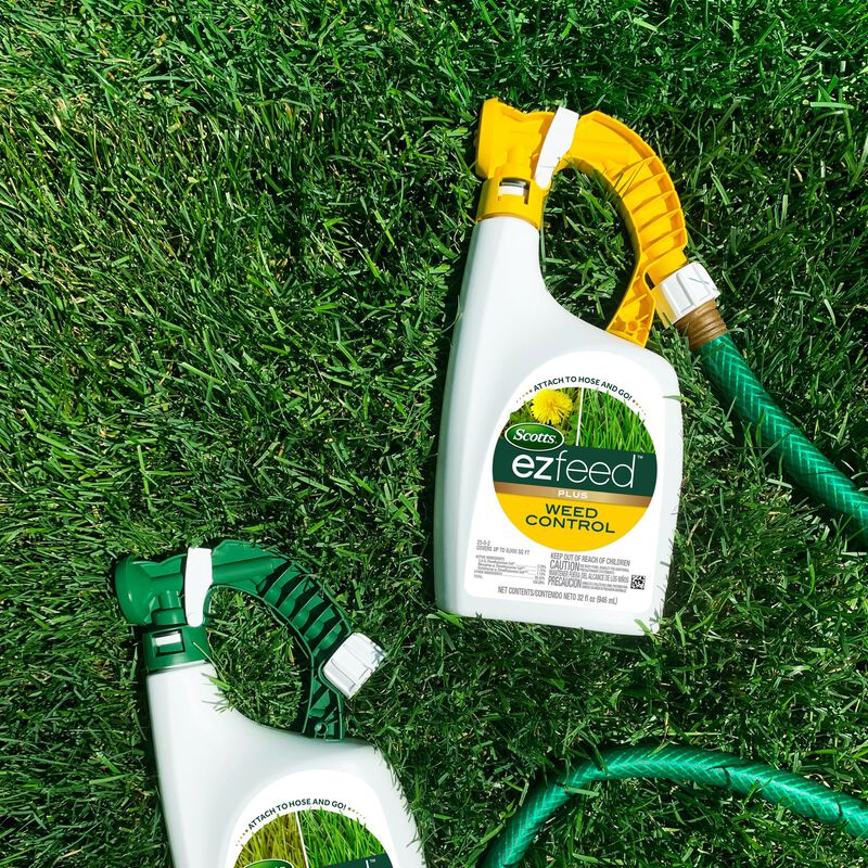 Scotts&reg; EZ Feed&trade; Plus Greening Power image number null