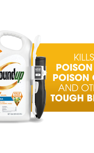 Roundup&reg; Poison Ivy Plus Tough Brush Killer₂
