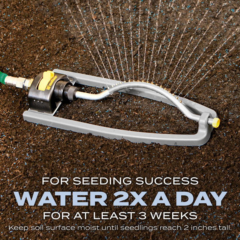 Scotts&reg; Turf Builder&reg; Grass Seed Sun & Shade Mix&reg; image number null