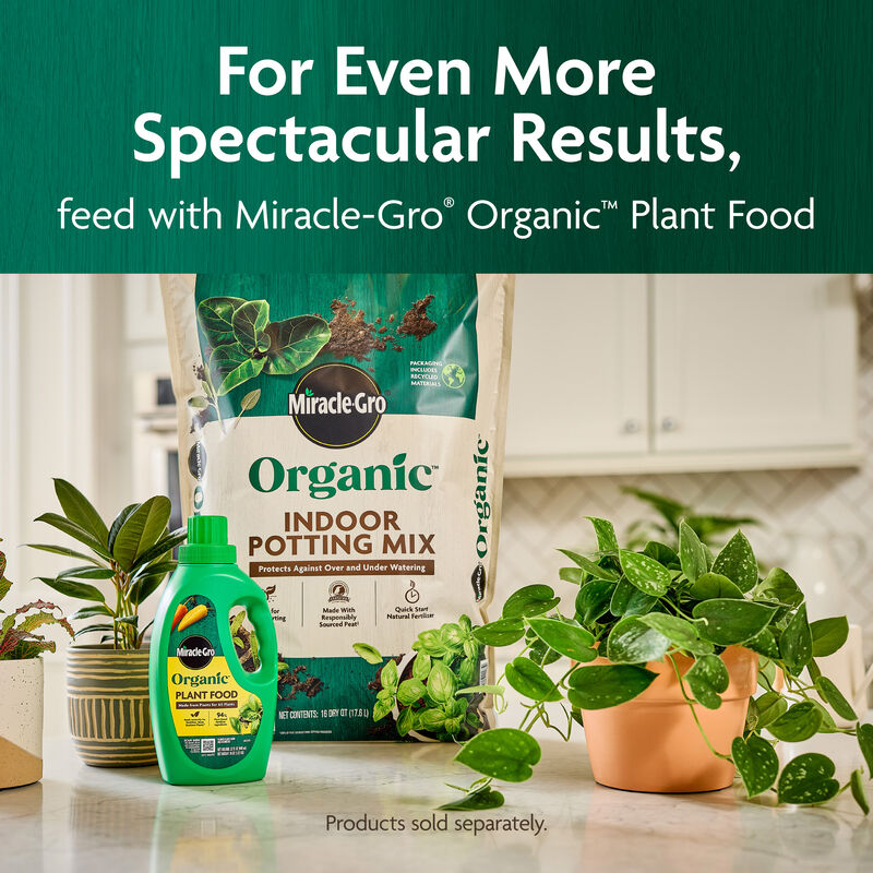 Miracle-Gro Organic&trade; Indoor Potting Mix image number null