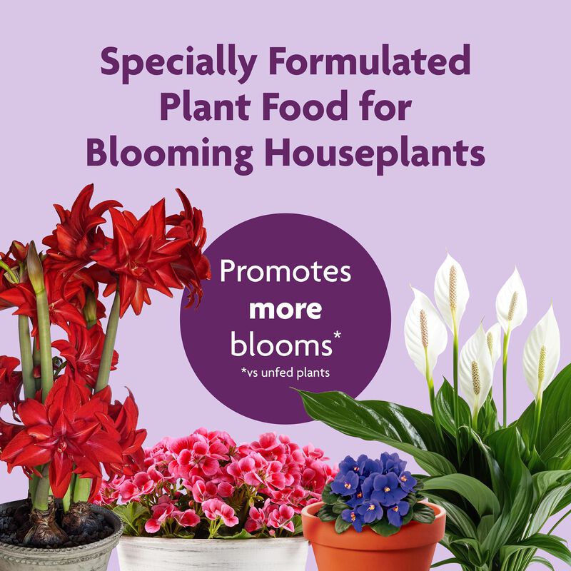 Miracle-Gro&reg; Blooming Houseplant Food image number null