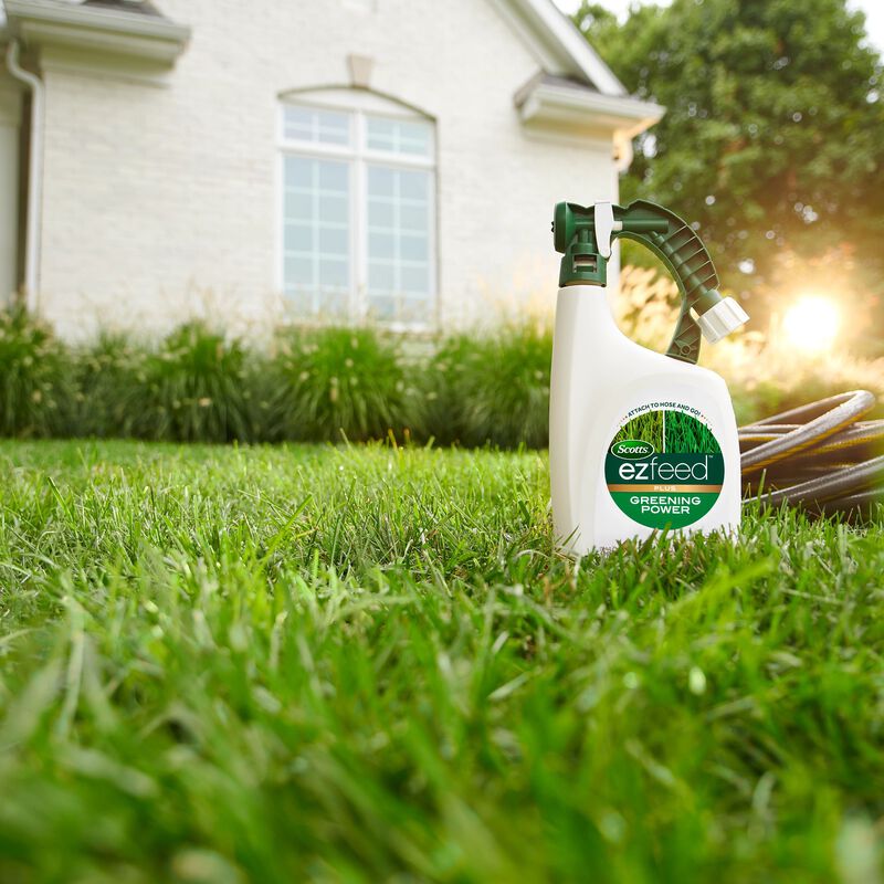 Scotts&reg; EZ Feed&trade; Plus Greening Power image number null