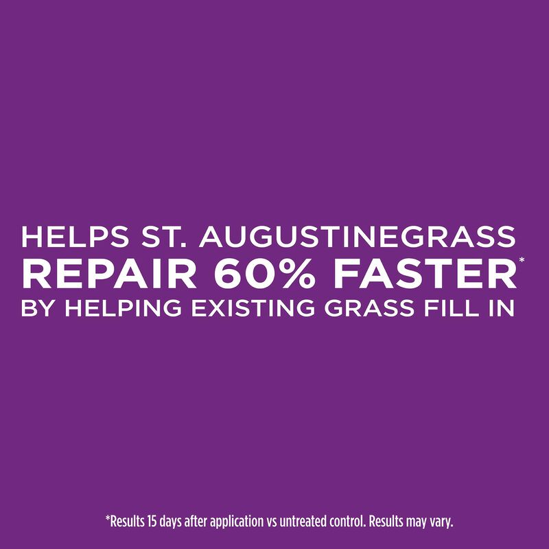 Scotts&reg; EZ Patch&trade;️ Lawn Repair for St. Augustine Lawns image number null