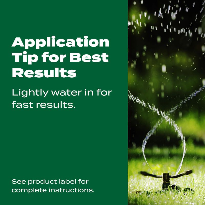 Scotts&reg; Green Max&trade; Lawn Food image number null