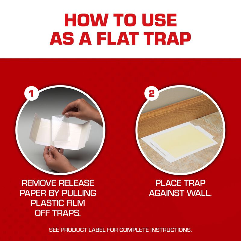 Tomcat&reg; Glue Boards with Eugenol for Enhanced Stickiness image number null