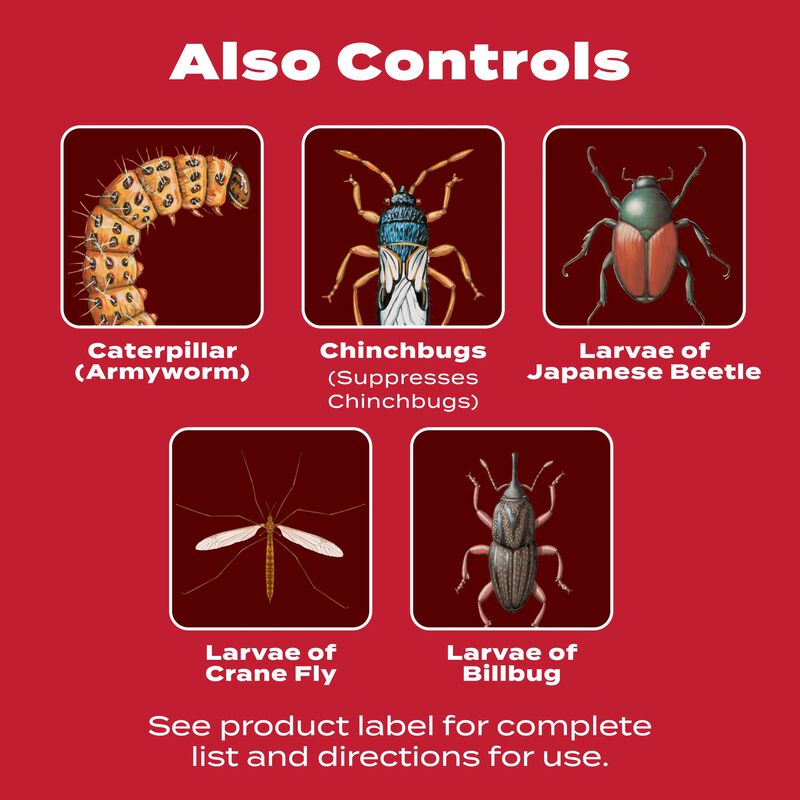Scotts&reg; GrubEx&reg;₁ Season Long Grub Killer image number null