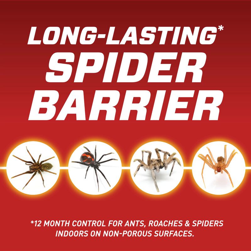 Ortho&reg; Home Defense&reg; Insect Killer for Indoor & Perimeter₂ with Comfort Wand image number null