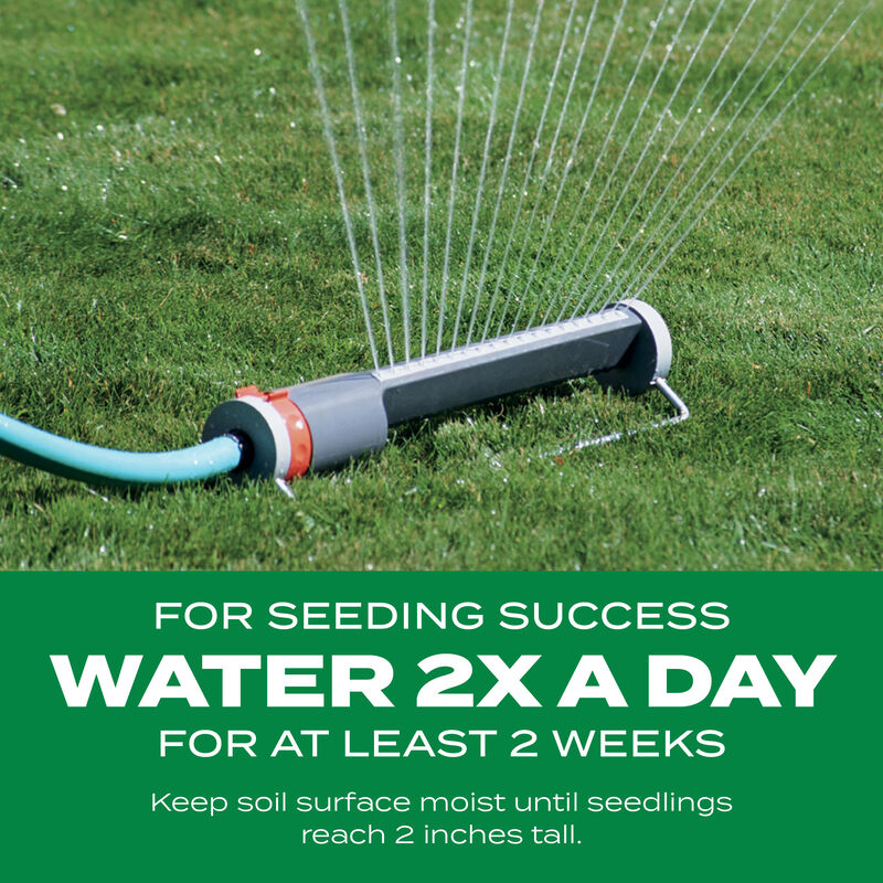 Scotts&reg; Turf Builder&reg; Thick'R Lawn&reg; Tall Fescue Mix image number null