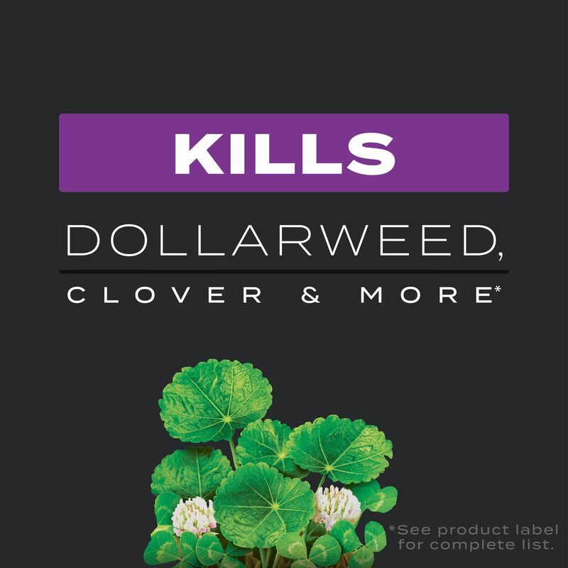 Scotts&reg; Turf Builder&reg; Southern Triple Action image number null