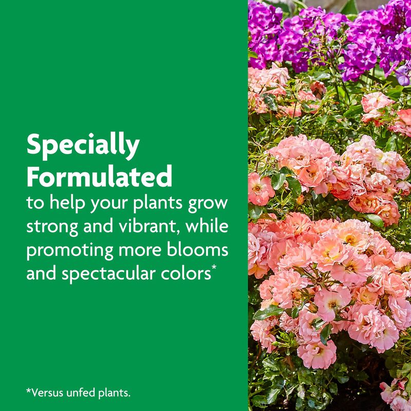 Miracle-Gro&reg; Shake 'n Feed Rose & Bloom Plant Food image number null