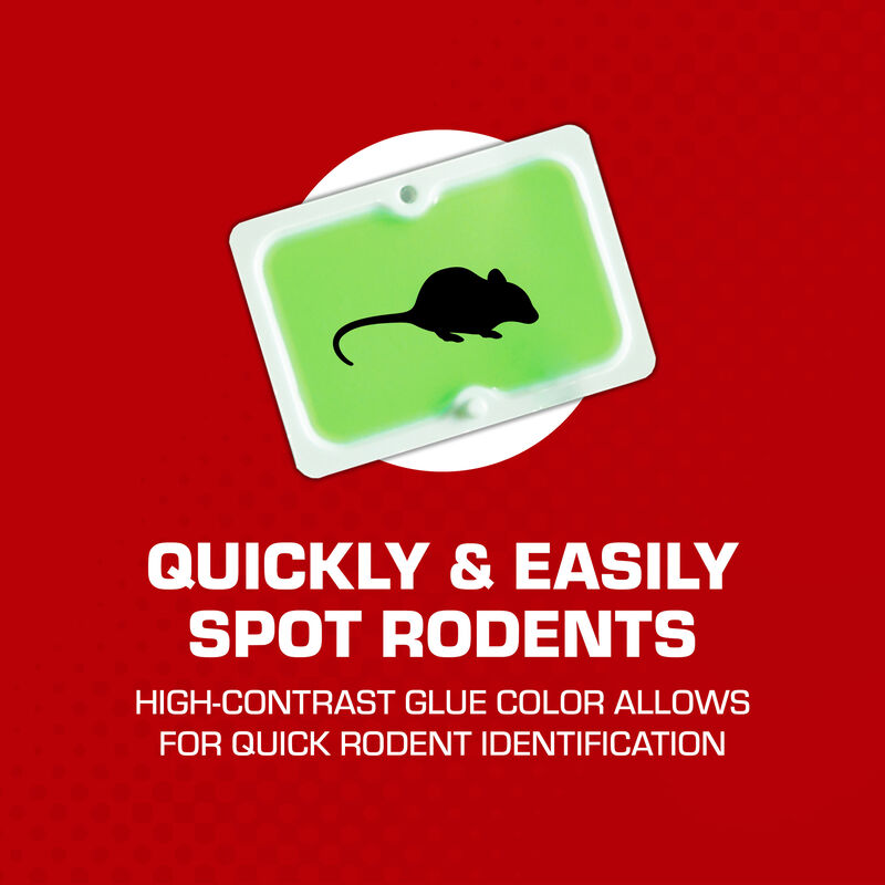 Tomcat&reg; Super Hold Glue Traps Mouse Size image number null