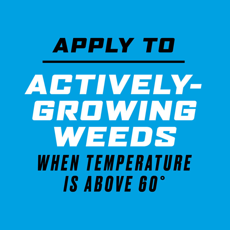 Ortho&reg; GroundClear&reg; Super Weed & Grass Killer₁ image number null