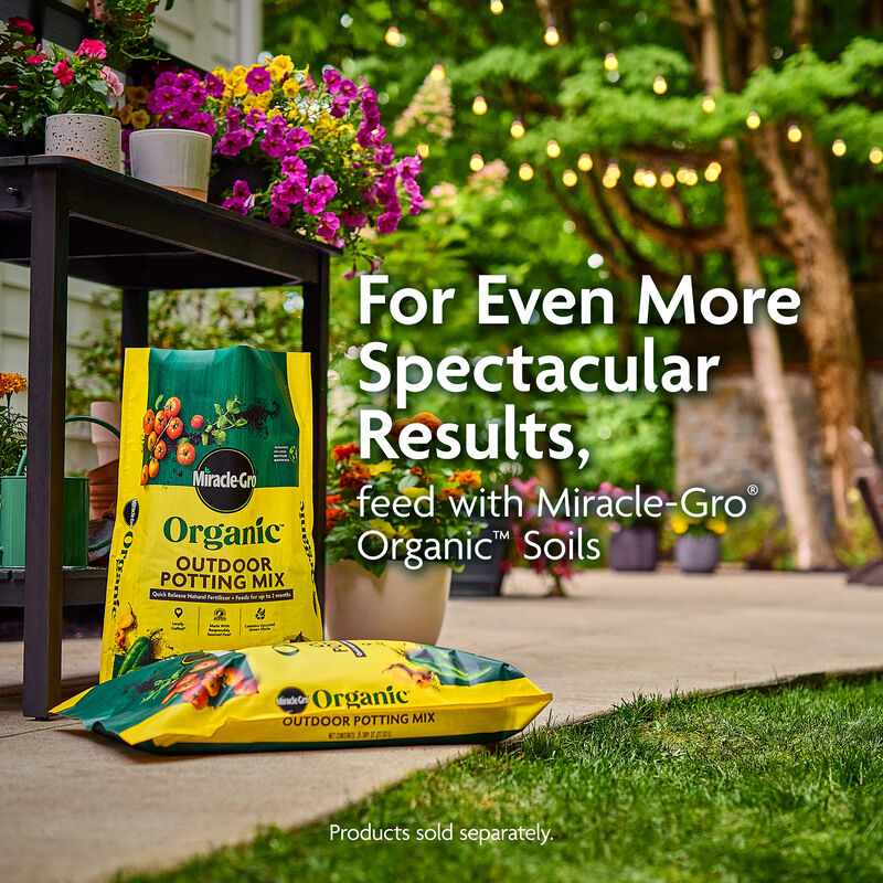 Miracle-Gro Organic&trade; Plant Food image number null