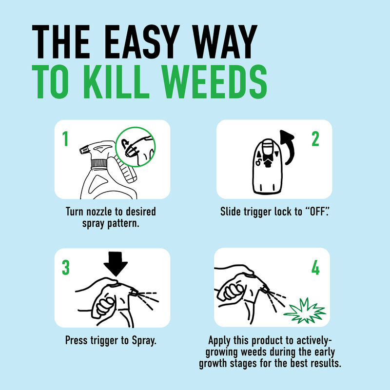 Roundup&reg; For Lawns₁ with QuickHand&trade; Sprayer image number null