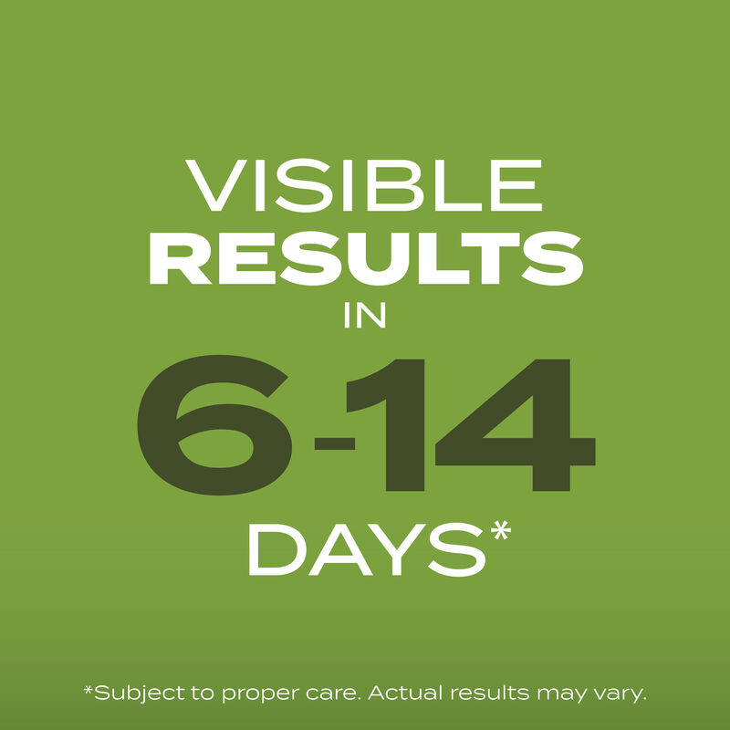 Scotts&reg; Turf Builder&reg; Grass Seed Tall Fescue Mix image number null