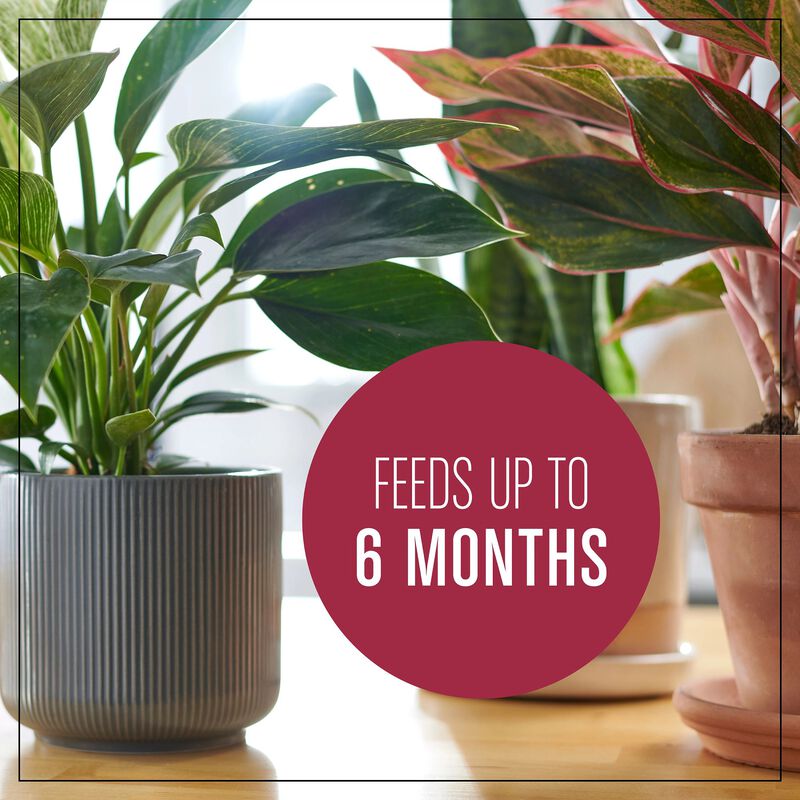 Miracle-Gro&reg; Houseplant Potting Mix image number null