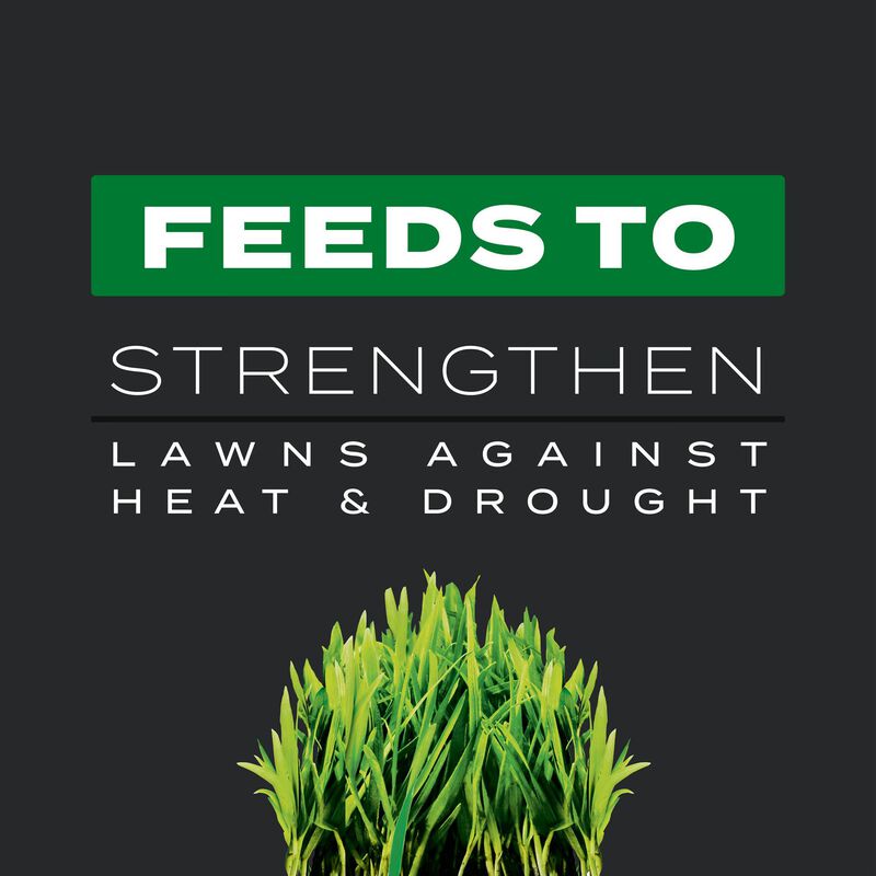 Scotts&reg; Turf Builder&reg; Southern Triple Action and Scotts&reg; Green Max&trade; Lawn Food Bundle for Large Southern Lawns image number null