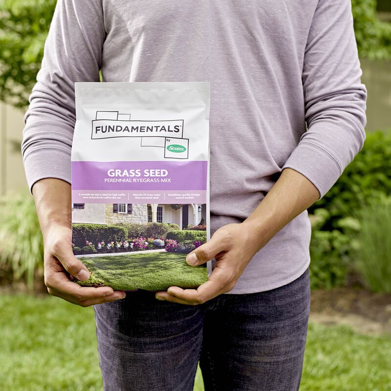 Fundamentals&trade; by Scotts&reg; Grass Seed Perennial Ryegrass Mix image number null