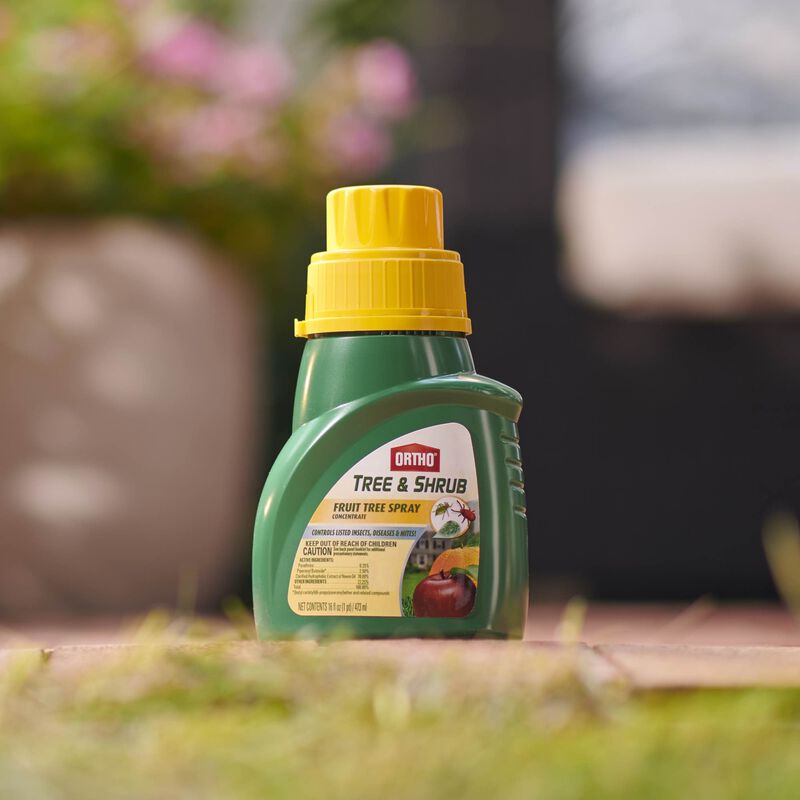 Ortho&reg; Tree & Shrub Fruit Tree Spray image number null