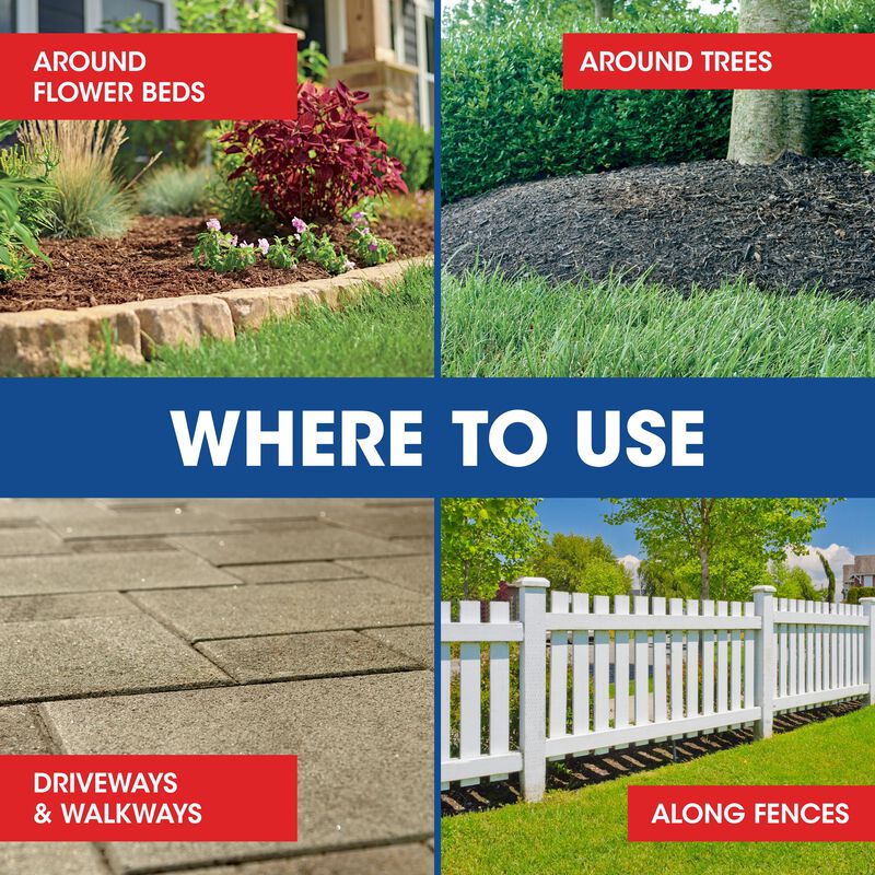 Roundup&reg; Weed & Grass Killer₄ Concentrate image number null