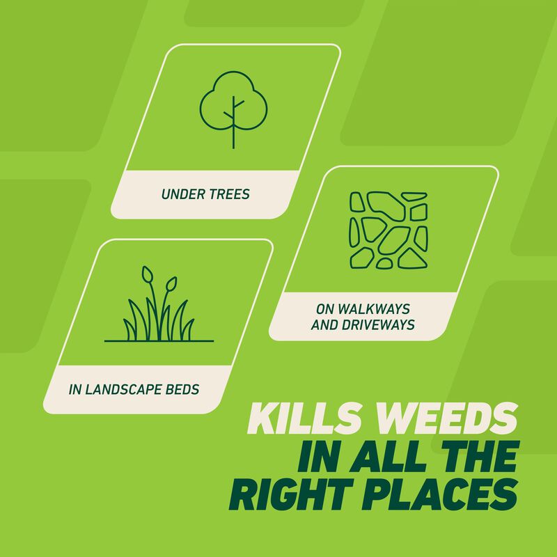 Ortho&reg; GroundClear&reg; Weed & Grass Killer with Comfort Wand&reg; image number null