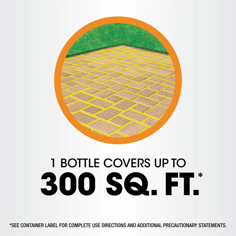 Roundup&reg; Poison Ivy Plus Tough Brush Killer₂ with Comfort Wand&reg; image number null