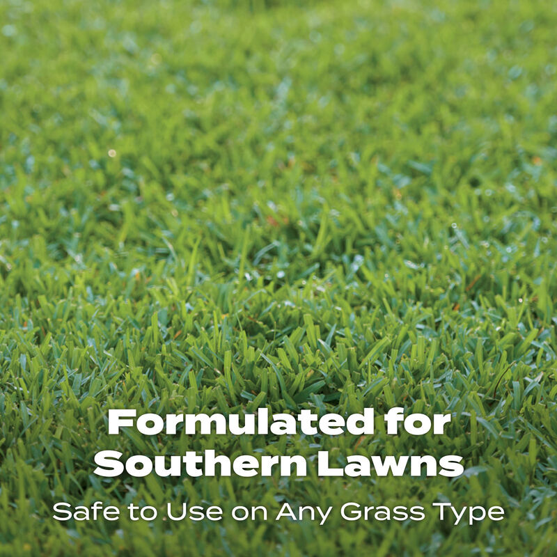 Scotts&reg; Southern Turf Builder&reg; Lawn Food image number null