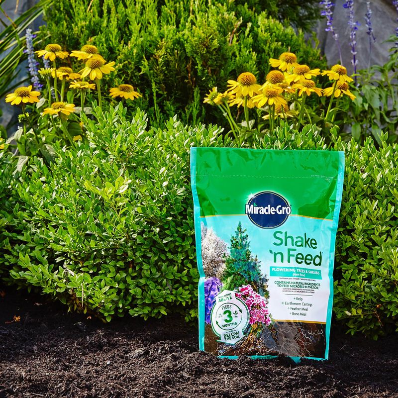Miracle-Gro&reg; Shake 'N Feed Flowering Trees and Shrubs Plant Food image number null
