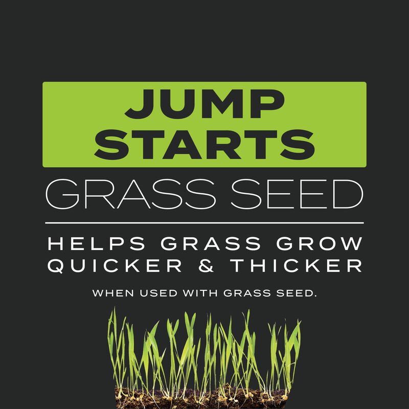 Scotts&reg; Turf Builder&reg; Triple Action Built For Seeding image number null