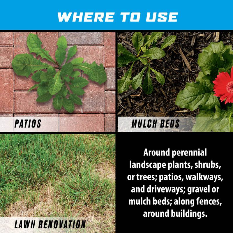 Ortho&reg; Groundclear&reg; Weed & Grass Killer Super Concentrate₁ image number null