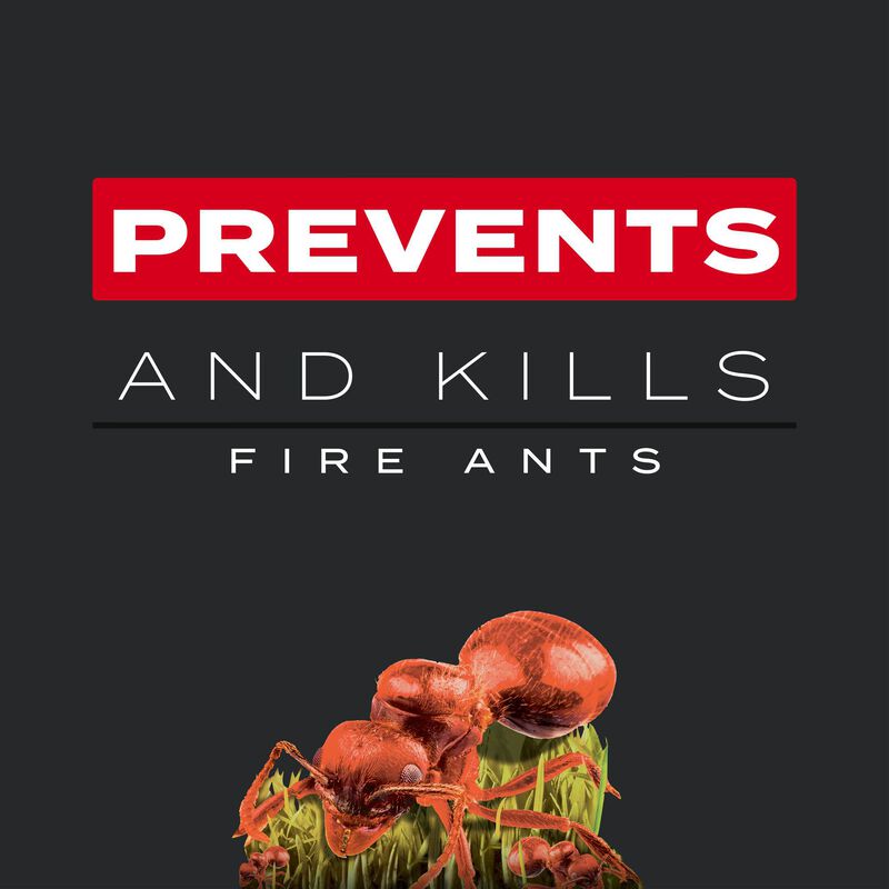 Scotts&reg; Turf Builder&reg; Southern Triple Action and Scotts&reg; Green Max&trade; Lawn Food Bundle for Large Southern Lawns image number null