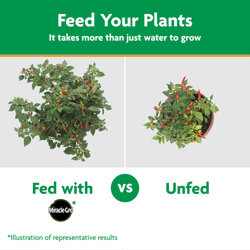 Miracle-Gro&reg; Water Soluble Plant Food Vegetables and Herbs image number null