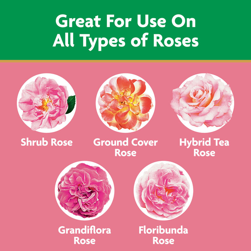 Miracle-Gro&reg; Water Soluble Rose Plant Food image number null