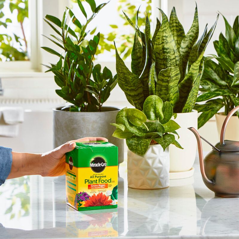 Miracle-Gro&reg; Water Soluble All Purpose and Shake 'N Feed Plant Food Bundle image number null